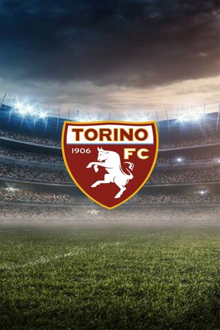 Torino FC Logo on the Field 🌟⚽