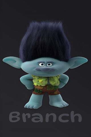 Meet Branch the Troll! 🌟