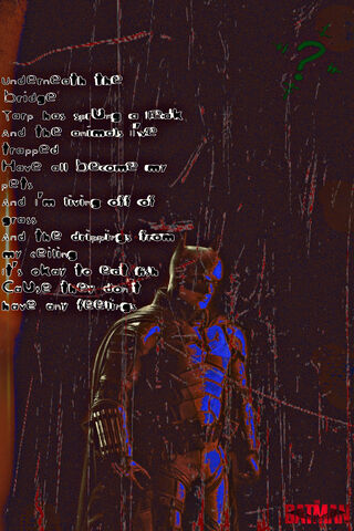 The Dark Knight's Solit..