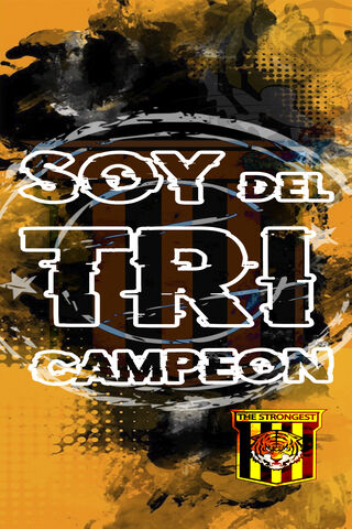 Proud to Be the Champion! 🏆