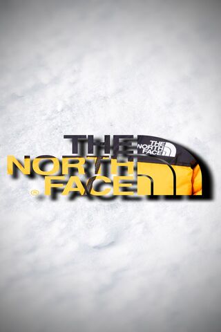 The North Face Logo in ..