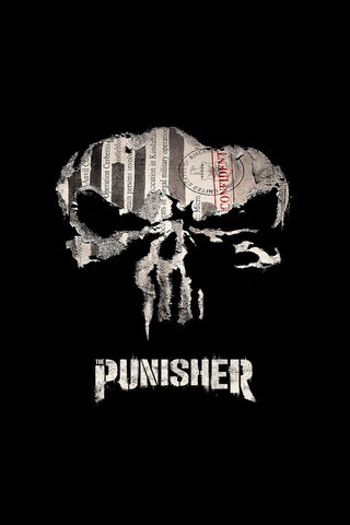 The Punisher Skull Logo..