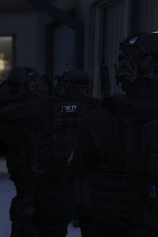 Tactical Team in Action..