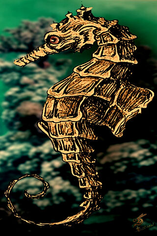 Enigmatic Seahorse 🐚✨