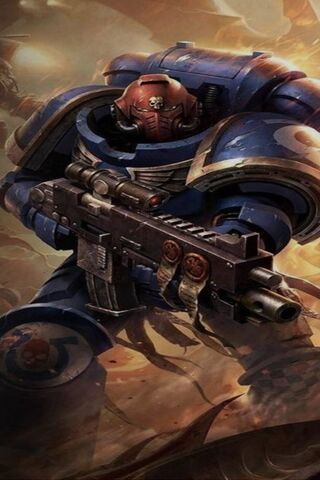 The Valor of the Space ..