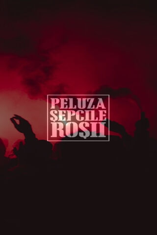 Red Vibes at Peluza Sepcile Roșii 🎉