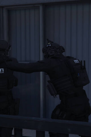 Tactical Team in Action..