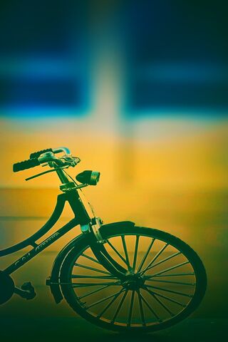 A Vintage Ride 🚲✨