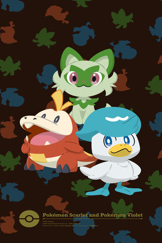 Violet Starters