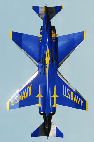 Virtual Blue Angels F4