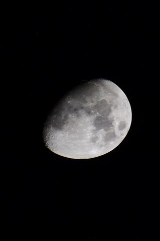 Vegas Moon Wed Nov 22
