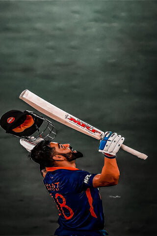 Victory Celebration! 🏏🎉