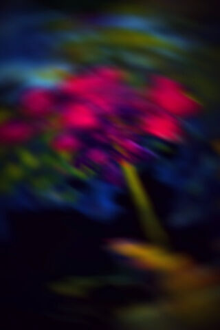 Whispers of V20: A Floral Dream