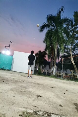 Voley