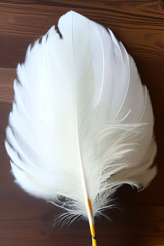 Elegant White Feather 🪶✨