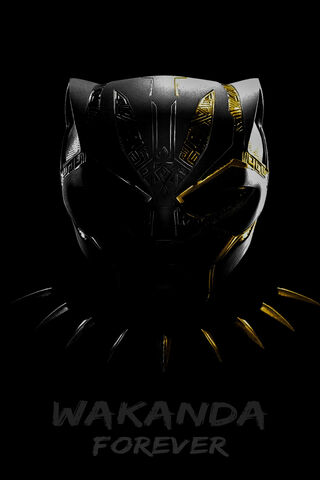 The Legacy of Wakanda 🐾✨