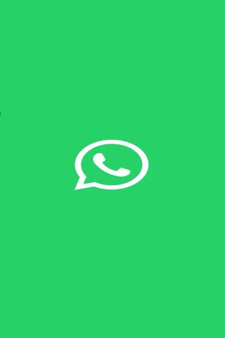 WhatsApp Logo on Vibran..