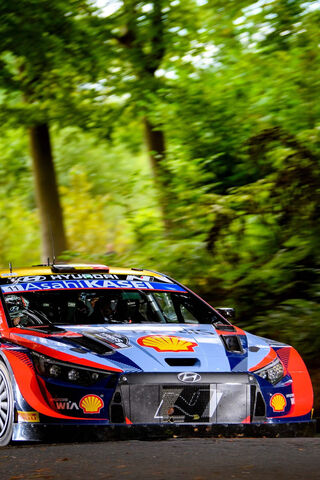 High-Speed Rally Action