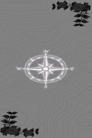 Navigating Through Shad..