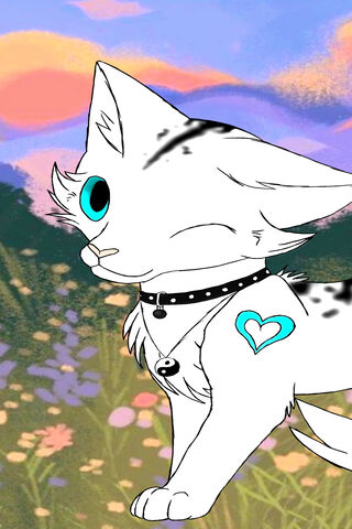 Mystic Paws: The Enchan..