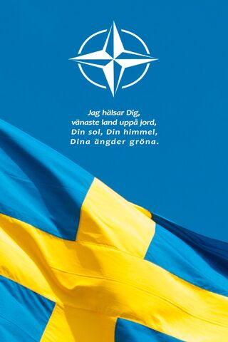 Swedish Pride: A Symbol of Unity 🇸🇪✨