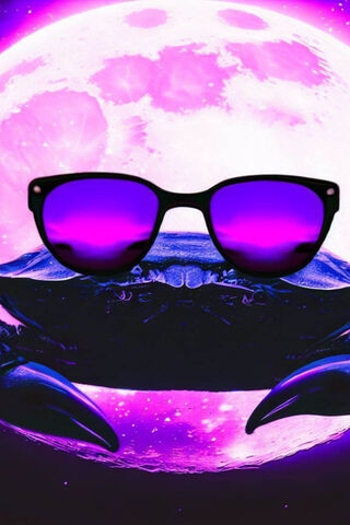 Walllpaper