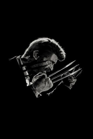 Wolverine Unleashed 🐾