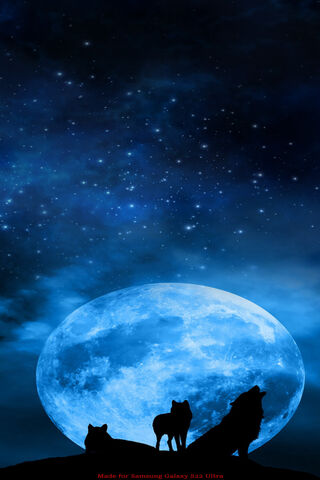Wolves In The Night