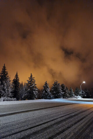 Winter Wonderland Under..