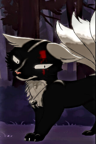 Warrior Cats
