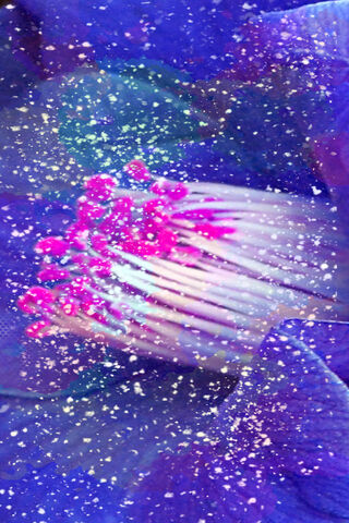 Enchanting Winter Blossom ❄️🌸