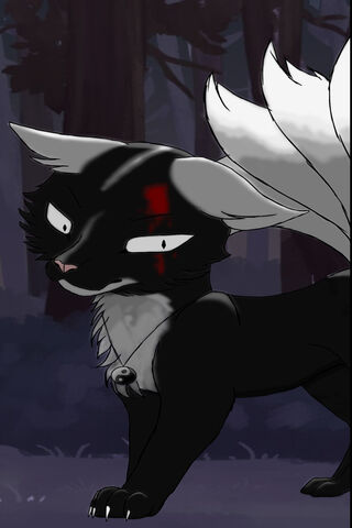 Warrior Cats