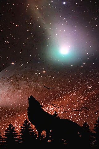 Howling at the Cosmic Night 🌌🐺