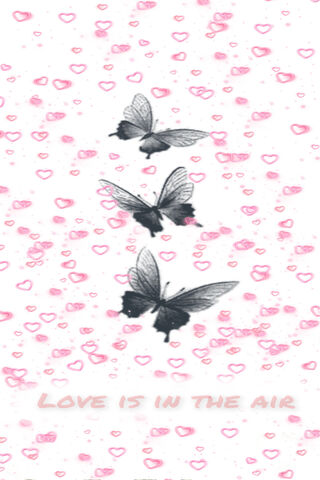 Love Takes Flight 🦋💖