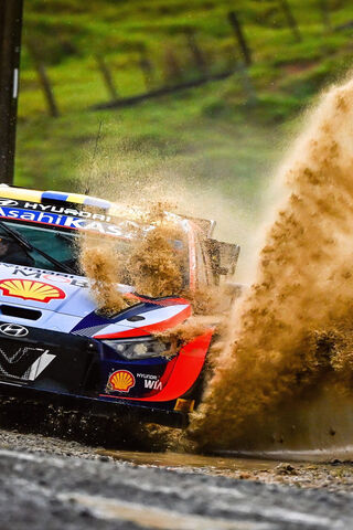 Rallying Through the Mu..