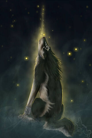 Wolf Link