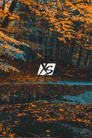 Xs
