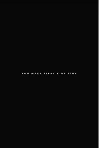 Stray Kids Stay 💖