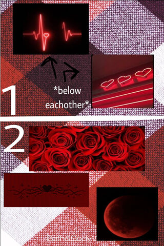 Love in Shades of Red ❤️🌹