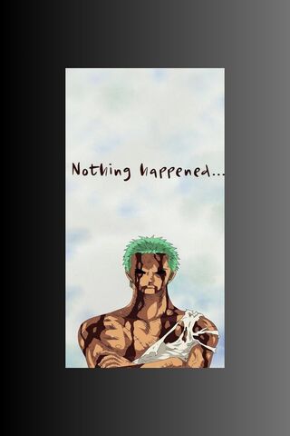 Zoro Nothing