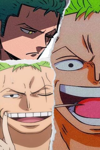 Zoro's Expressions: A P..