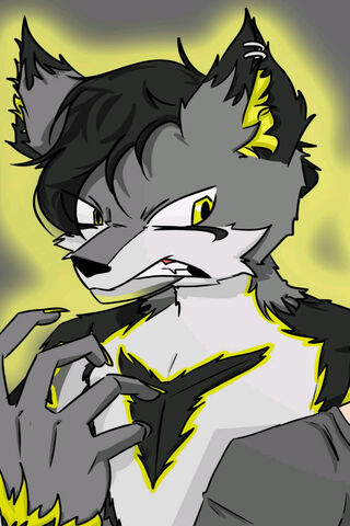 Fierce Furry Transforma..