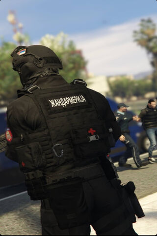 Tactical Response in Ac..
