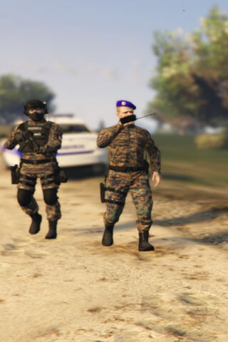On Patrol: Heroes in Ac..