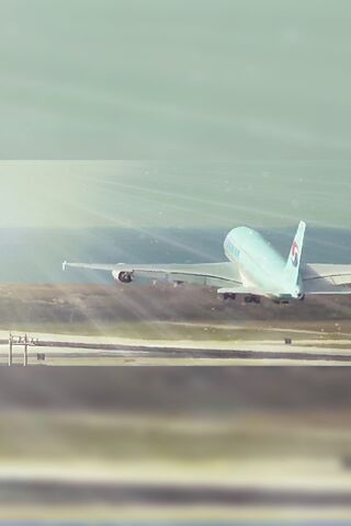 Soaring into the Sky ✈️✨