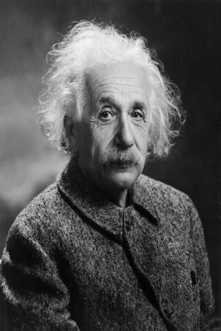 The Genius of Relativit..