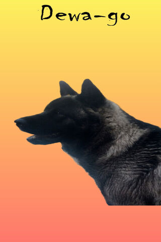 Akemi