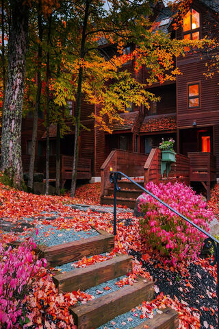 Autumn Serenity 🍂🏡