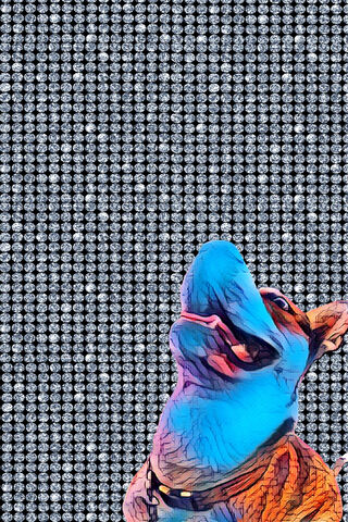 Colorful Canine Dreams 🐶✨