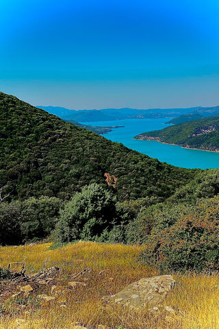 Serene Mountain View